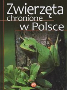 Obrazek Zwierzęta chronione w Polsce