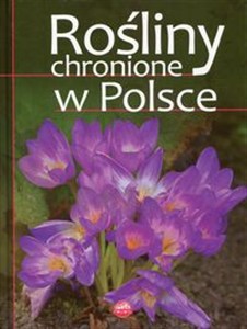 Picture of Rośliny chronione w Polsce
