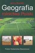 Książka : Geografia ... - Jerzy Bański