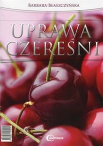 Obrazek Uprawa czereśni