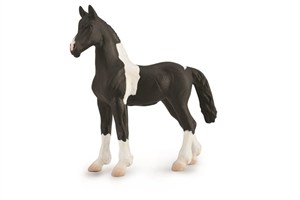 Picture of Źrebię Barcock Pinto