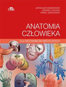 Obrazek Anatomia człowieka dla ratowników medycznych