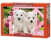 Puzzle 150... -  Książka z wysyłką do UK