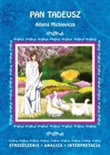 Pan Tadeus... - Ilona Kulik -  Polish Bookstore 