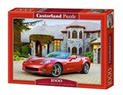 1000x PUZZ... -  Książka z wysyłką do UK