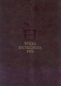 polish book : Wielka Enc...