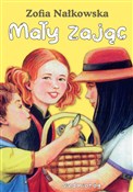 Zobacz : Mały zając... - Zofia Nałkowska