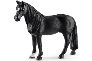 Obrazek Wałach rasy Tennessee Walker SLH13832