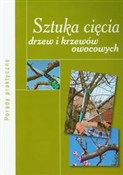 Zobacz : Sztuka cię... - Augustyn Mika