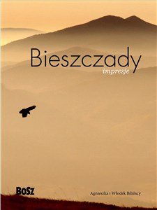 Obrazek Bieszczady Impresje