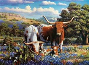 Obrazek Puzzle 2D: Krowy długorogie 500el