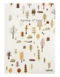 Obrazek Szkicownik B5/100K Drzewa pomarańczowe