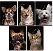 polish book : Zeszyt do ...