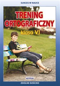 Obrazek Trening ortograficzny Klasa 6