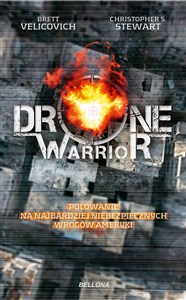 Picture of Drone Warrior
