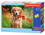 polish book : Puzzle Flo...