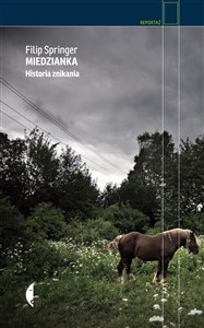 Obrazek Miedzianka Historia znikania