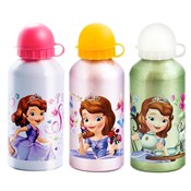 Bidon Soph... -  books from Poland