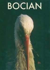Obrazek Bocian
