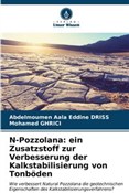 N-Pozzolan... - Abdelmoumen Aala Eddine DRISS -  foreign books in polish 