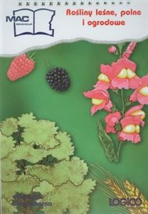 Obrazek Logico Piccolo Rośliny leśne polne i ogrodowe Edukacja elementarna