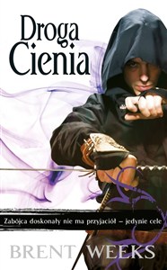 Obrazek Droga Cienia Trylogia Nocnego Anioła Tom 1