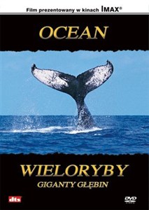 Obrazek Ocean: Wieloryby, giganty głębin