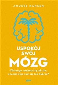 Obrazek Uspokój swój mózg Dlaczego czujemy się tak źle, chociaż żyje nam się tak dobrze?