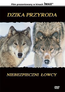 Obrazek Dzika przyroda: Niebezpieczni łowcy