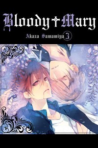 Obrazek Bloody Mary 3