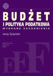 Obrazek Budżet i polityka podatkowa Wybrane zagadnienia