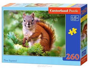Picture of Puzzle Pine Squirrel 260