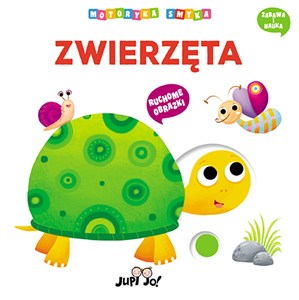 Picture of Zwierzęta. Motoryka smyka