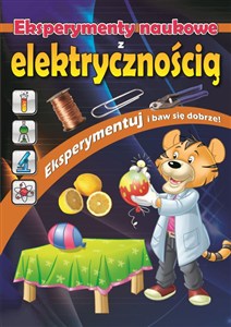 Obrazek Eksperymenty naukowe z elektrycznością
