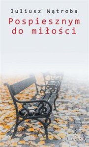 Obrazek Pospiesznym do miłości