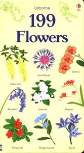 Picture of 199 Flowers