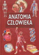 Anatomia c... -  foreign books in polish 