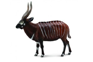 Obrazek Antylopa Bongo XL