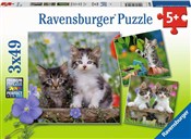 Puzzle 3x4... - Ksiegarnia w UK