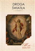 Droga świa... - Aleksander Radecki -  foreign books in polish 