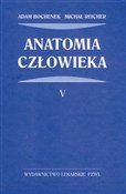 Anatomia c... - Adam Bochenek, Michał Reicher -  books in polish 