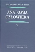 polish book : Anatomia c... - Adam Bochenek, Michał Reicher