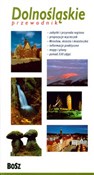 Dolnośląsk... - Krzysztof Bzowski, Michał Jurecki, Eliza Malawska-Kłusek, Tadeusz Nuckowski -  books in polish 