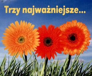 Picture of Trzy najważniejsze. . . Perełki