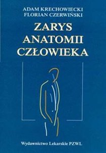 Obrazek Zarys anatomii człowieka