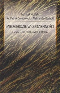 Obrazek Miłosierdzie w codzienności. Czyn. Słowo. Modlitwa