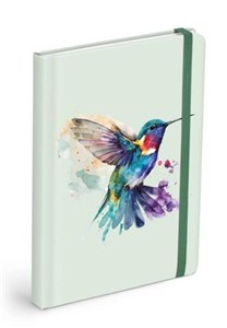 Obrazek Brulion z gumką 120K linia