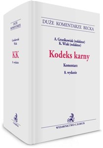 Obrazek Kodeks karny Komentarz