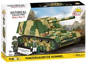 Polska książka : Panzerhaub...