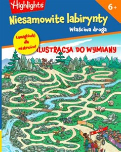 Picture of Niesamowite labirynty. Właściwa droga